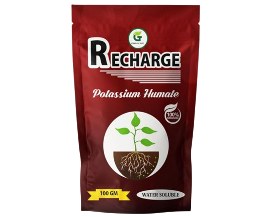 RECHARGE