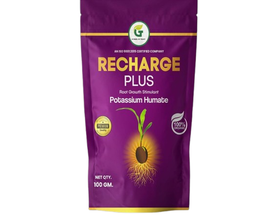 Recharge Plus